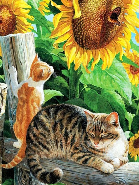 Diamond Painting Cats And Sunflower*