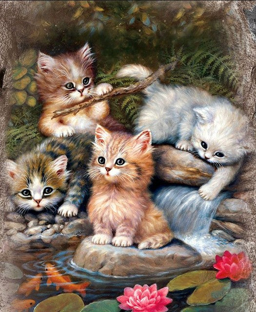 Diamond Painting Kattungar Vid Bäck*