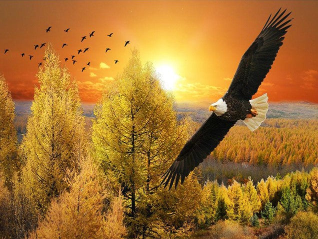 Diamond Painting Flying Eagle*