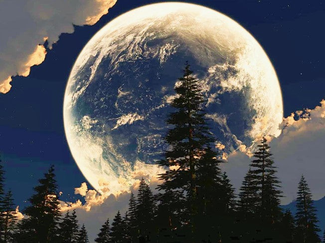 Diamond Painting Winter Fullmoon*