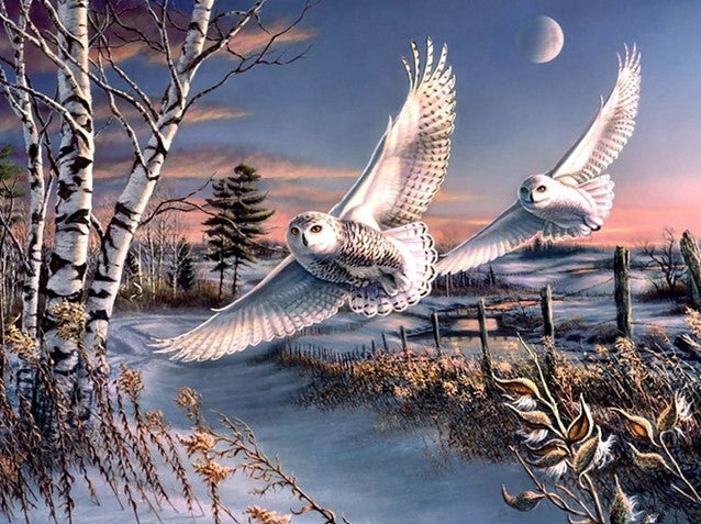 Diamond Painting Vinterugglor*