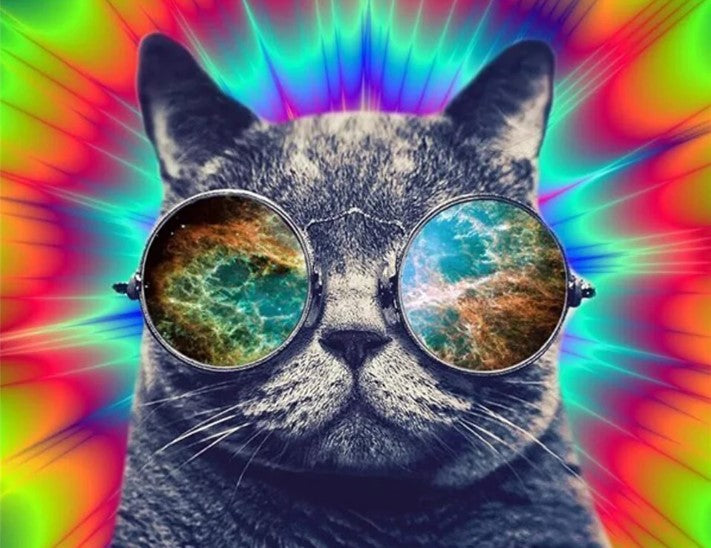 Diamond Painting Cat With Glasses*