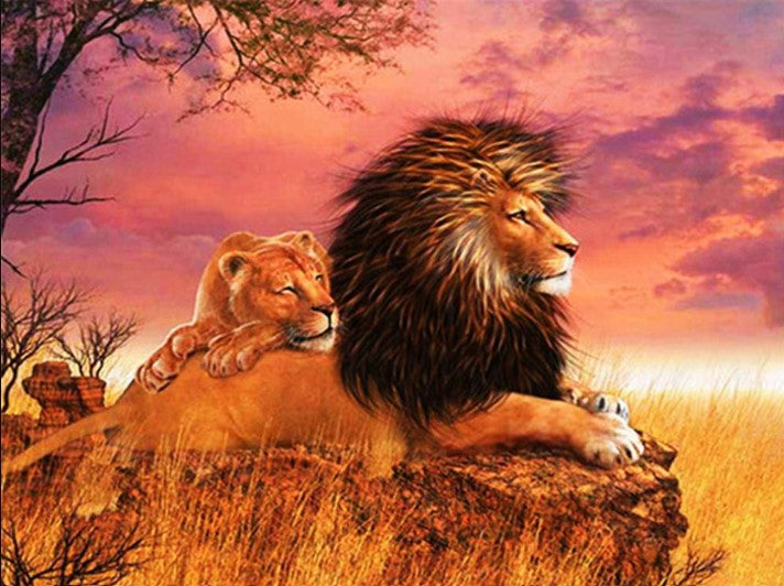 Diamond Painting Lions*