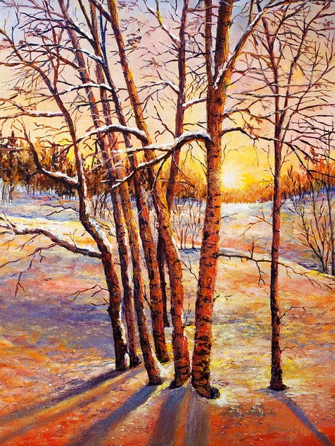 Diamond Painting Björkar Solnedgång*