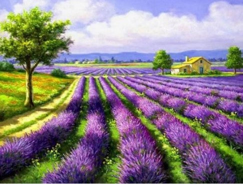 Diamond Painting Lavendel Landskap*