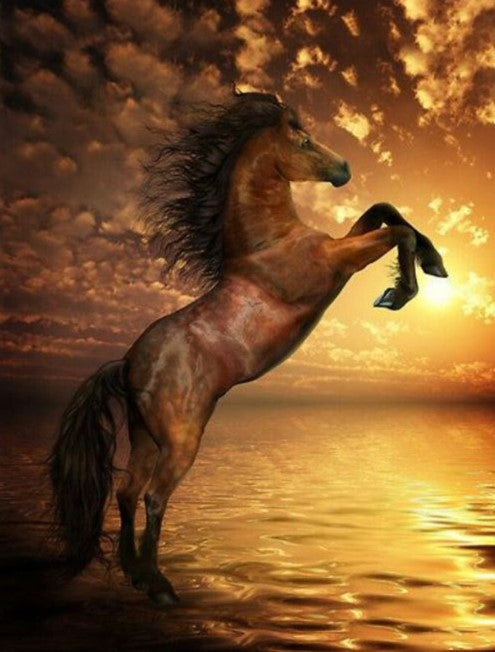 Diamond Painting Wild Oceanhorse*