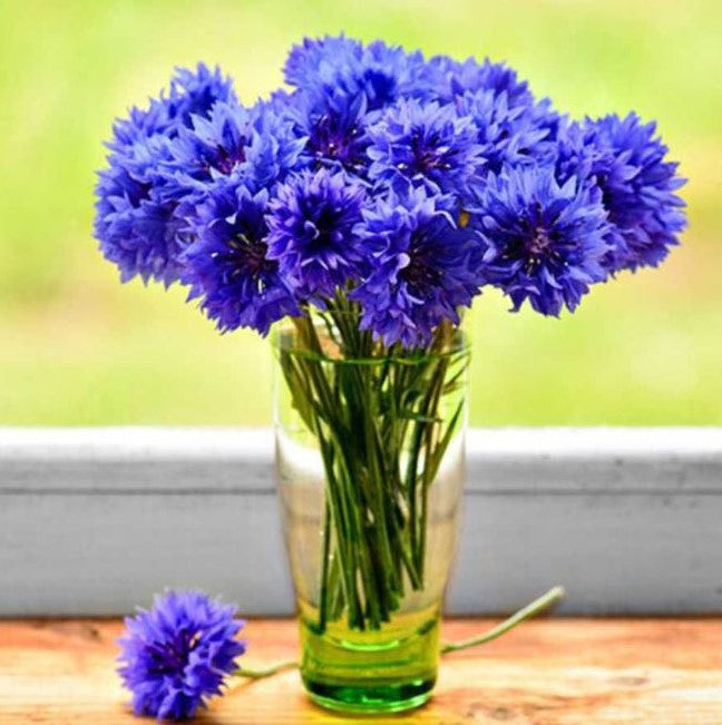 Diamond Painting Blå Blommor I Glasvas*