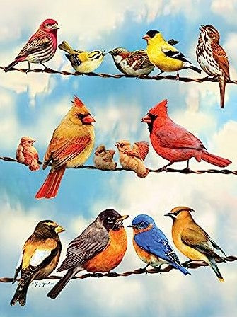 Diamond Painting Fåglar På Rad*