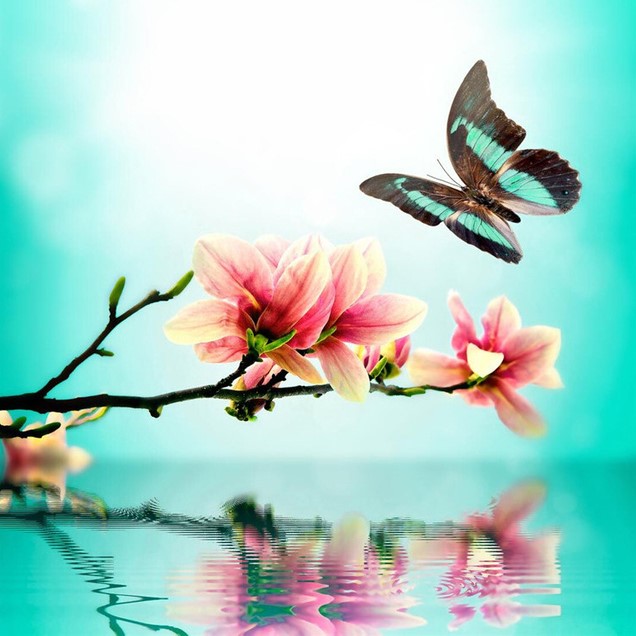 Diamond Painting Flowers Butterfly*