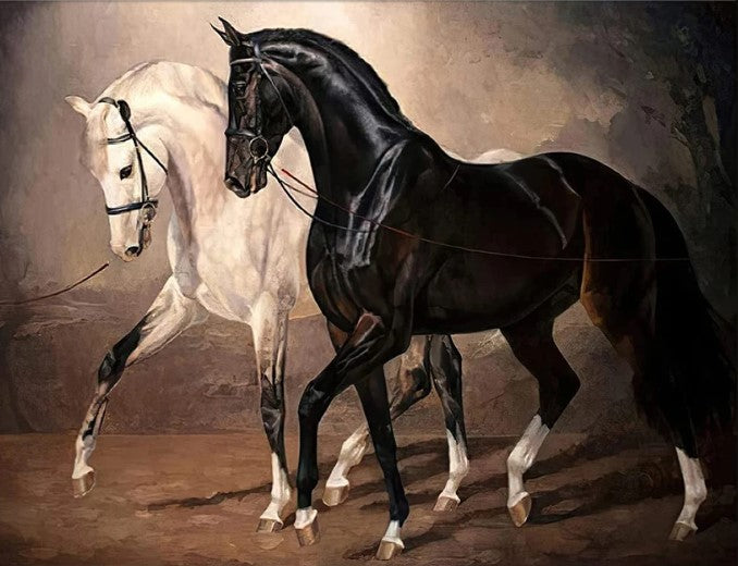 Diamond Painting Eleganta Hästar*