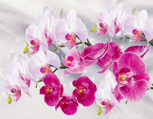 Diamond Painting Vita Och Rosa Orchideer*