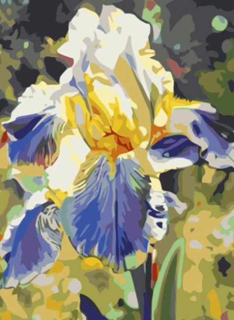 Paint By Number Iris  40x50*