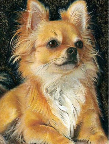 Diamond Painting Chihuahua*