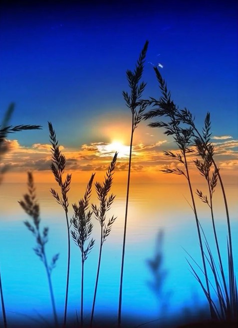 Diamond Painting Lake Sunset*