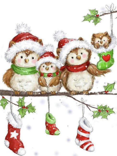 Diamond Painting Christmas Owls*