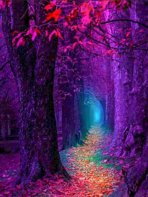Diamond Painting Deep Forest*
