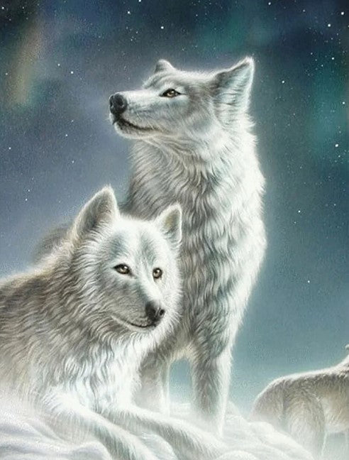 Diamond Painting Vargar*