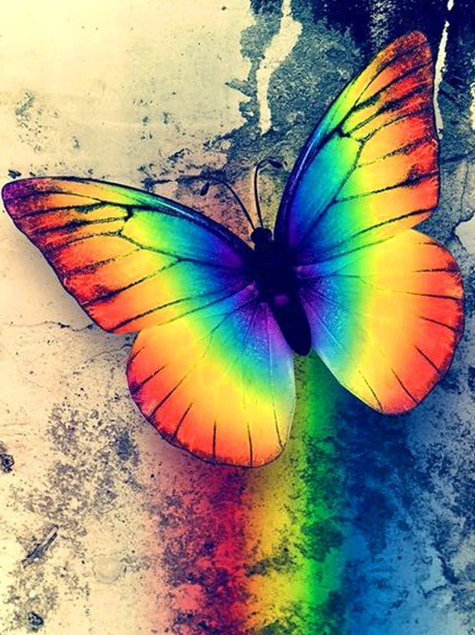 Diamond Painting Rainbow Butterfly*