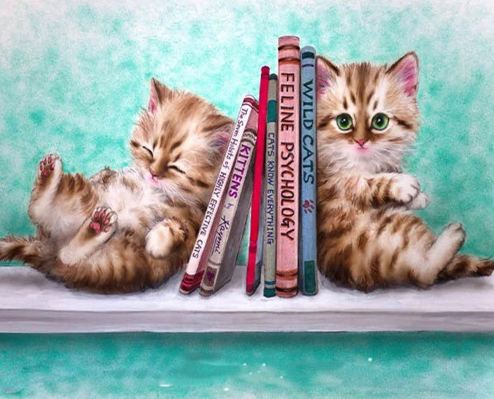 Diamond Painting Katter Bokhylla*