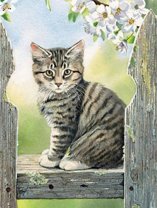 Diamond Painting Kitten*