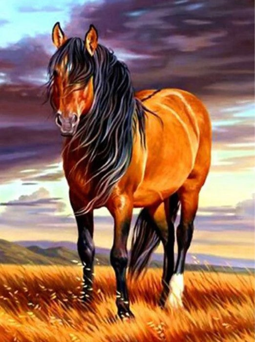 Diamond Painting Horse*
