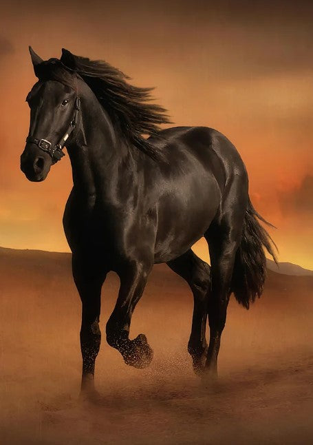 Diamond Painting Desert Horse*