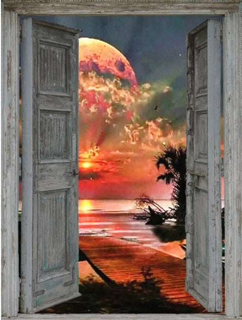 Diamond Painting Door Fullmoon*