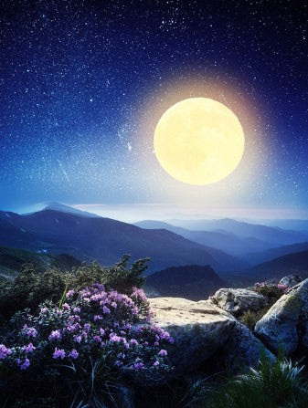 Diamond Painting Mountain Fullmoon*