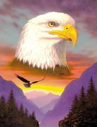 Diamond Painting Eagle Landscape*