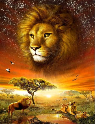 Diamond PaintingLion Landscape*