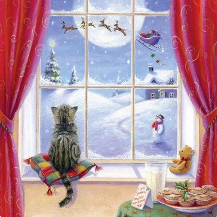 Diamond Painting Katt I Julfönster*
