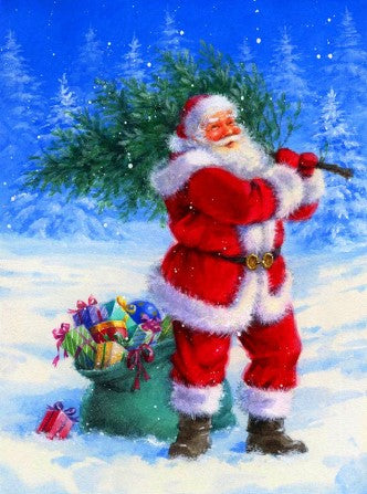 Diamond Painting Tomte Med Julgran*
