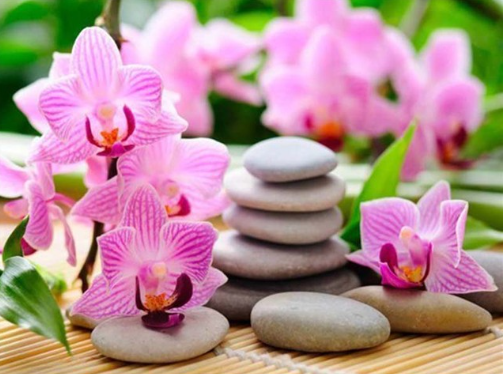Diamond Painting Orchid And Stones*
