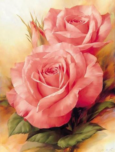 Diamond Painting Rosor Gammelrosa*