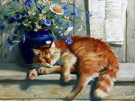 Diamond Painting Sleeping Cat*