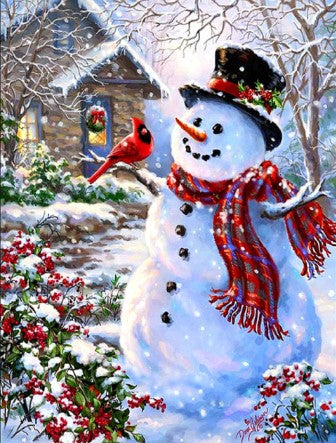 Diamond Painting Snowman And Bird*