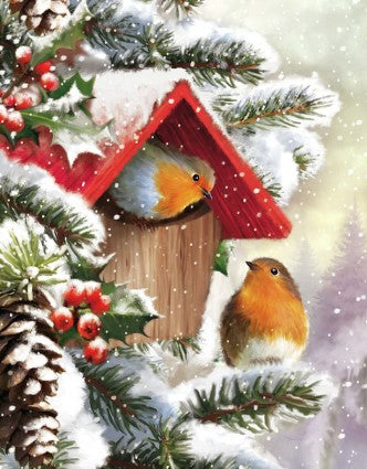 Diamond Painting Winter Birds*