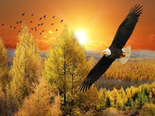 Diamond Painting AB Drills Flying Eagle*