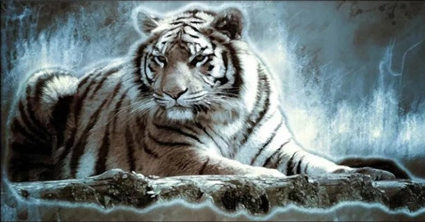 Diamond Painting Tiger*