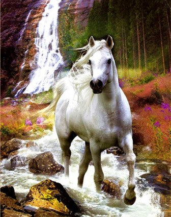 Diamond Painting Horse Waterfall*