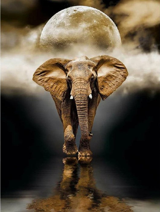 Diamond Painting Elephant Moon*