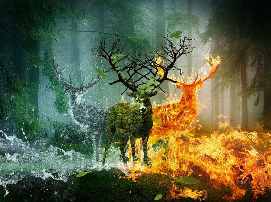 Diamond Painting Deers Elements*
