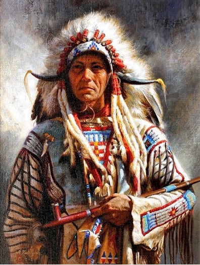 Diamond Painting Ståtlig Hövding*