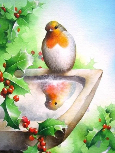 Diamond Painting Fågel Vid Fågelbad*