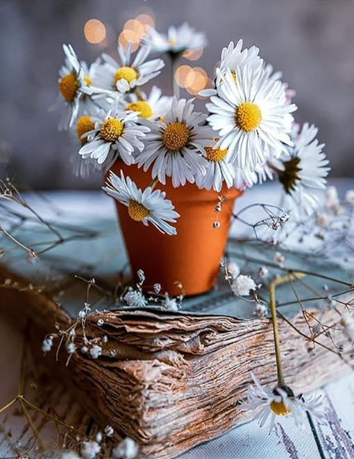 Diamond Painting Blommor Lerkruka*