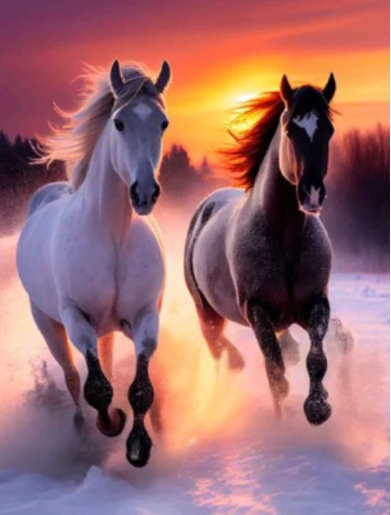 Diamond Painting AB Drills Winter Sunset Horses*