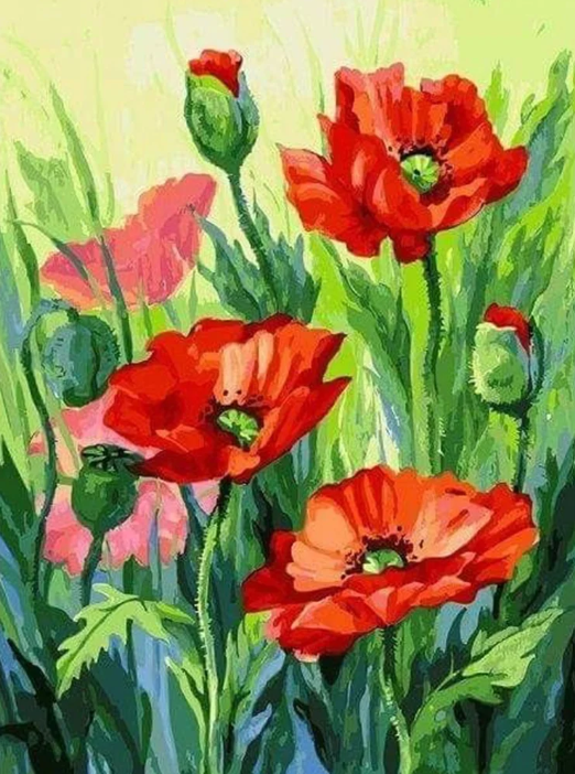 Diamond Painting Poppy*