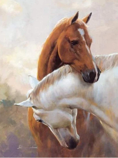 Diamond Painting Hästar*