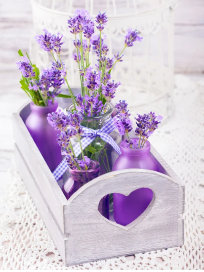 Diamond Painting Lavendel*