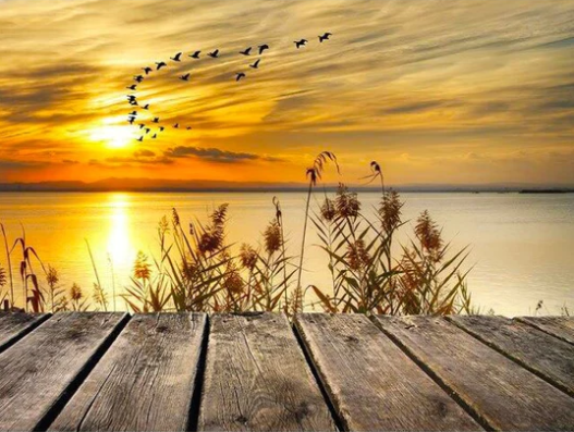 Diamond Painting Sunset By The Lake*
